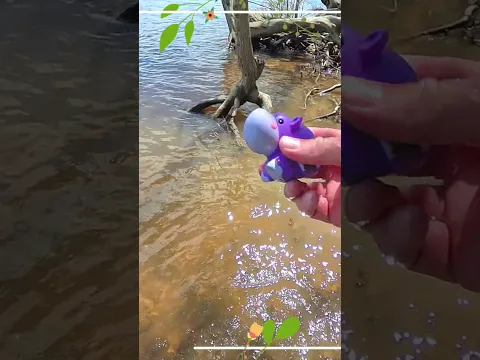 Rescuing Safari Toys From Mud Near Water
