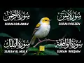 Lagu Beautiful Surah Yaseen (Yasin) | Surah Rahman | Surah Waqiah | Surah Mulk EP152
