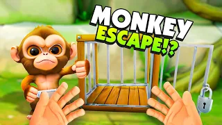 helping a baby monkey escape from its cage in i am monkey vr