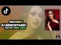Download Lagu DJ MENCINTAIMU MAHALINI BREAKBEAT TIKTOK VIRAL 2025 I SOUND TIKTOK ALKA FLOW