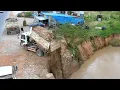 Download Lagu Engineering a Riverbank: Dump Truck Delivers Soil to Prevent Erosion and Reclaim Land