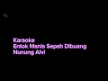 Download Lagu Karaoke Entok Manis Sepah Dibuang Nunung Alvi 