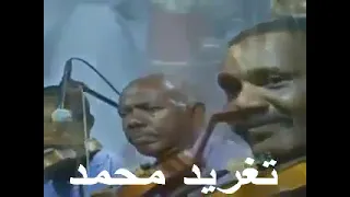 شرحبيل احمد مين فى الاحبه كلمات بشير محسن 