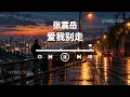 张震岳《爱我别走》Lyrics | 动态歌词版