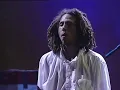 Rage Against The Machine - Bulls On Parade | Live at Woodstock (1999)
