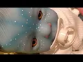 Avatar baby doll from TEMU review