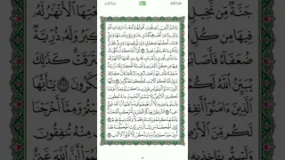 القران الكريم الصفحة 45 ياسر الدوسري 