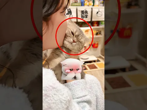 This Cat Is Too Talented! 🤯😺