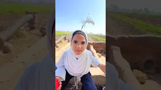 When I Loved You I Talked To My Friend About You Tiktok Explore Trend Food Youtuber Youtu  When I Loved You I Talked To My Friend About You Tiktok Explore Trend Food Youtuber Youtu