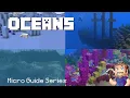 Ocean Biomes - Minecraft Micro Guide