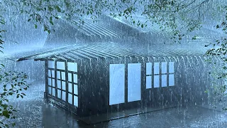 Hit The Sack in 3 Minutes with the Pouring Rain & Severe Thunder on the Weak Porch in Misty Night