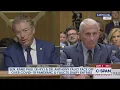 Dr Anthony Fauci Testifies on the COVID-19 Pandemic