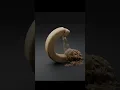 Sand simulation addon NeXus