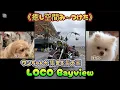 Download Lagu 【お得なカフェ】海辺にたたずむ癒し空間『LOCOBayview』2025年7月6日