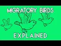 How to Solve HackerRank s Migratory Birds Problem in Java