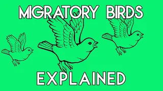 How to Solve HackerRank s Migratory Birds Problem in Java