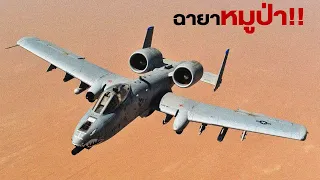เครื่องบินที่ไม่มีอะไรแทนที่มันได้ A-10 Thunderbolt II
