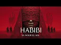 Lagu Habibi Ya Nour El Ain حبيبي يا نور العين | Arabic Techno Deep House Mix 2025