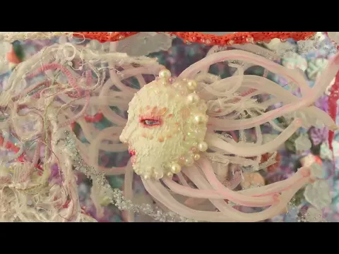 アネモネ/anemone