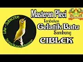Download Lagu Masteran Pleci Tembakan Gelatik Batu Sambung Ciblek Kualitas Suara Jernih