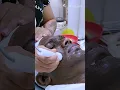 Crystal Dermalux Facial Hydra