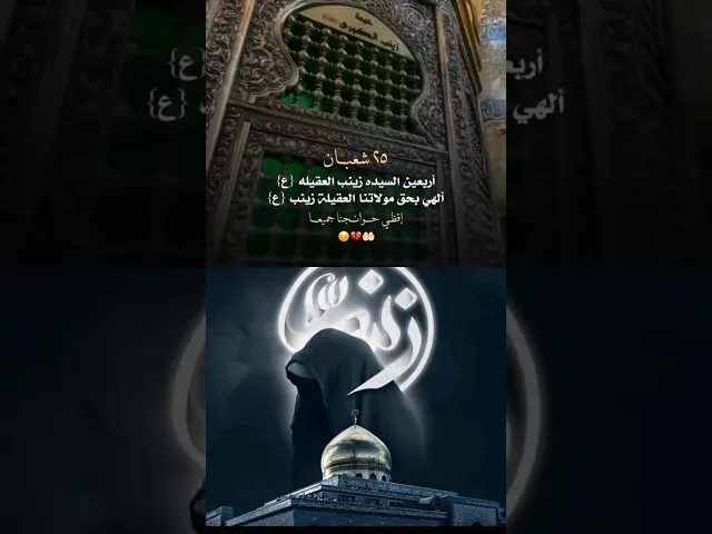 ⁣#ستوريات_انستا  اعضم الله جورناء وجوركم  بذكرى اربعينية السيدة زينب عليها السلام