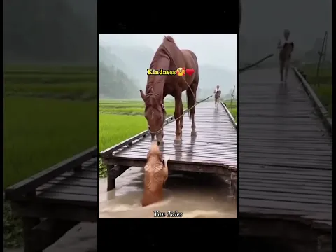 #tepukkartu