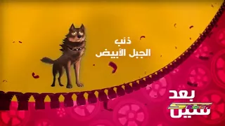 ذئب الجبل الأبيض بعد قليل على أفلام 