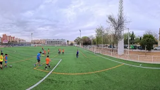                            دندنها