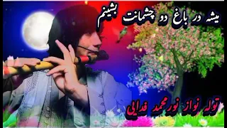 توله بسیار زیبا نور محمد فدایی میشه در باغ دو چشمانت بشینم 