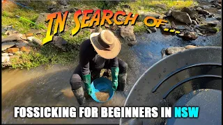 Fossicking For Beginners in NSW