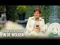 Priscilla Ophof - In De Wolken  (Officiële Videoclip)