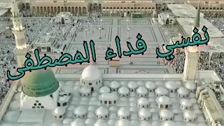 أنشودة   نفسي فداء المصطفى  صلى الله عليه وسلم   دندنها