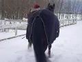 Amy Grant- Sleigh Ride ( MERRY CHRISTMAS )