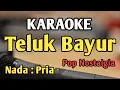 Download Lagu TELUK BAYUR - KARAOKE || NADA PRIA COWOK || Pop Nostalgia || Enie Djohan || Live Keyboard