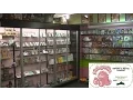 Pink Gorilla Games Videogame Store in Seattle (2014) - Adam Koralik