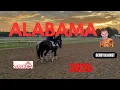 Alabama Stakes 2026 Saratoga