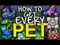 How to get EVERY pet in Terraria 1 4 4