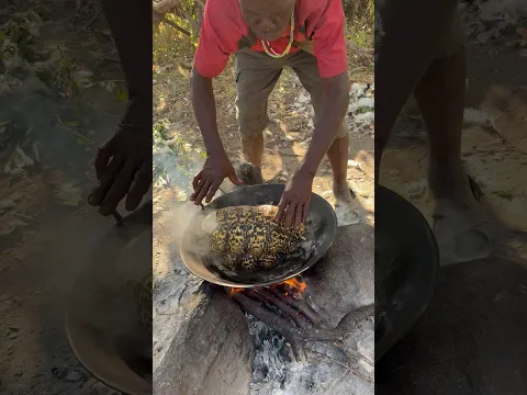 100 yrs old man cooking tortoise for dinner