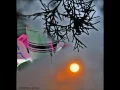 Joan Baez - "One Too Many Mornings"