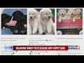 Oklahoma family stuck dealing with puppy scam