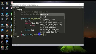 Count String Length without built in function in php