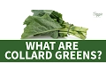 Download Lagu What Are Collard Greens?
