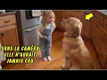 Download Lagu Sans la caméra, la maman n'aurait jamais cru ce que sa fille a fait au chien