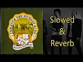 Download Lagu Forever The Sickest Kids - She's A Lady (SLOWED + REVERB)