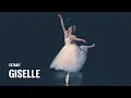 Download Lagu GISELLE - Variation de Myrtha, Acte II (Roxane Stojanov)