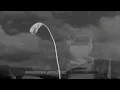HOMEGROWN JUNGLE MIX WITH VISUALS - SOUNDBLOSSOM -Mini showcase-.