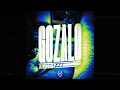 Ariis -  GOZALO