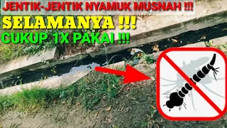 how to kill mosquito larvae in the gutter