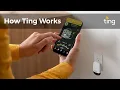 How Ting Works